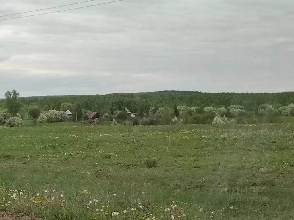 Участок в Башкортостан, Иглинский район, Ауструмский сельсовет, д. ... - Фото 1