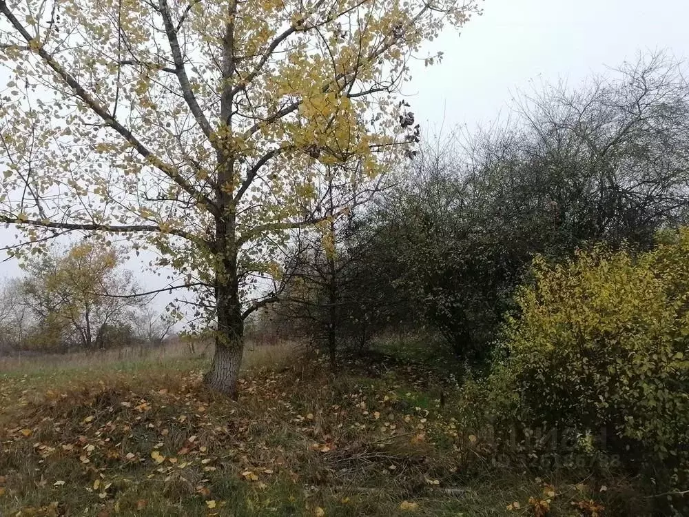 Участок в Краснодарский край, Абинский район, Ахтырское городское ... - Фото 1