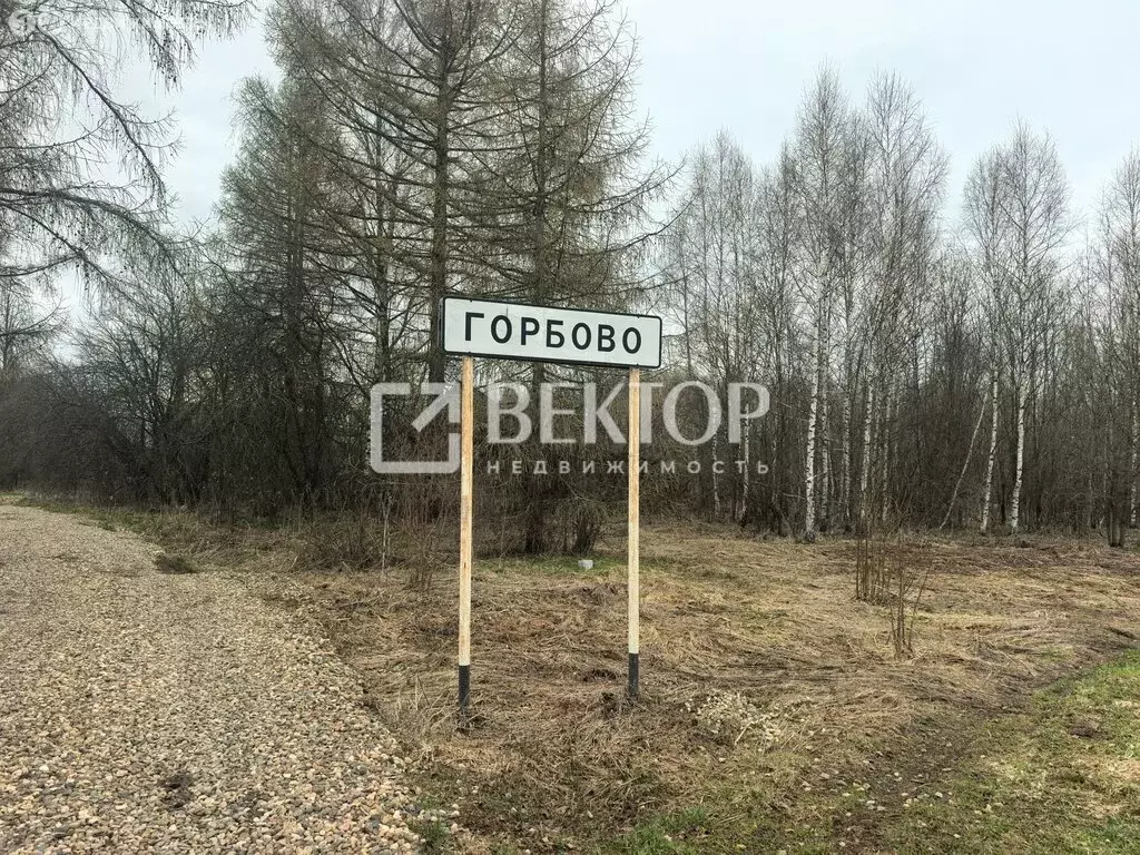 Дом в Ивановский муниципальный округ, деревня Горбово, 5 (40 м) - Фото 2