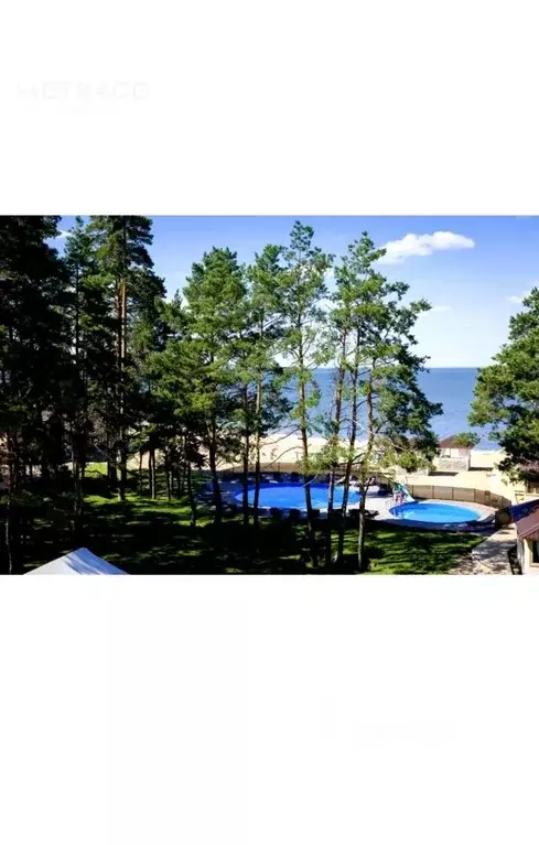 Участок в Новосибирская область, Бердск пер. Морской (8.0 сот.) - Фото 1