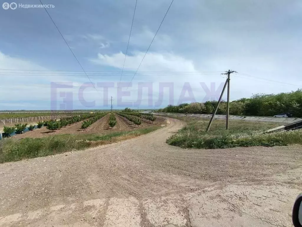 Участок в Синицынское сельское поселение, село Васильковое (6 м) - Фото 1