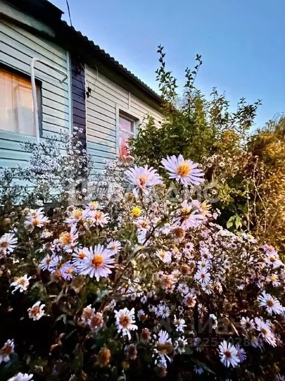 Дом в Белгородская область, Старооскольский городской округ, с. ... - Фото 1