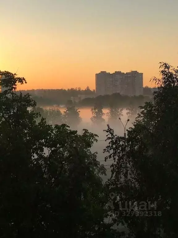 1-к кв. Санкт-Петербург просп. Металлистов, 78к1 (35.1 м) - Фото 1