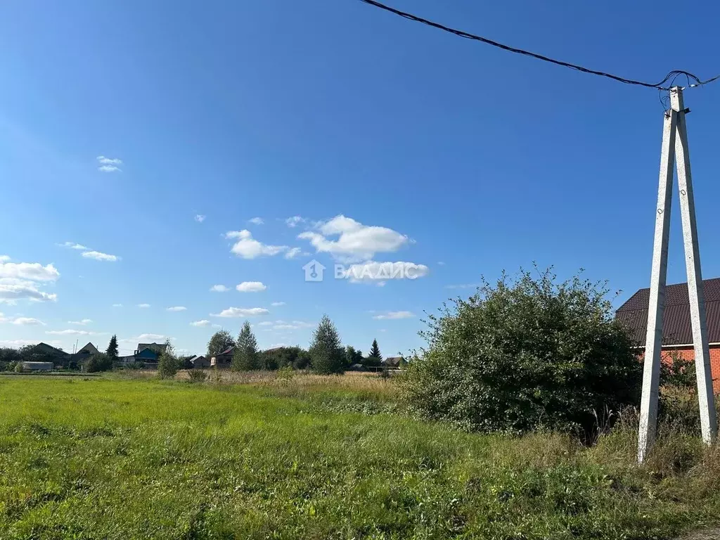 Участок в Пензенская область, с. Бессоновка ул. Борисовой, 53 (15.0 ... - Фото 1