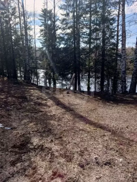 Участок в Коми, Ухта муниципальный округ, пос. Изъюр ул. Рабочая (12.0 ... - Фото 1