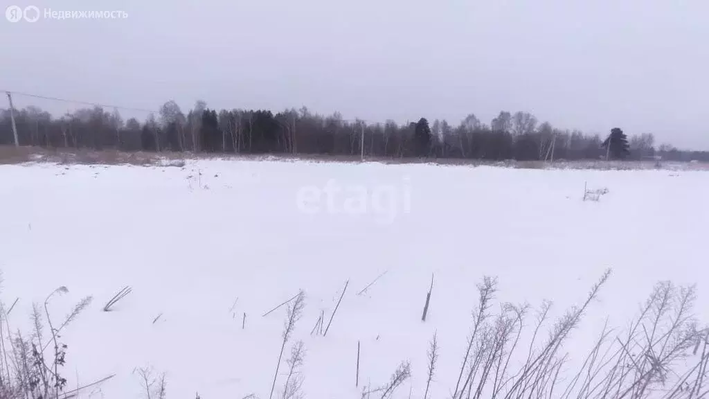 Участок в Томский район, село Кафтанчиково (9.2 м) - Фото 1