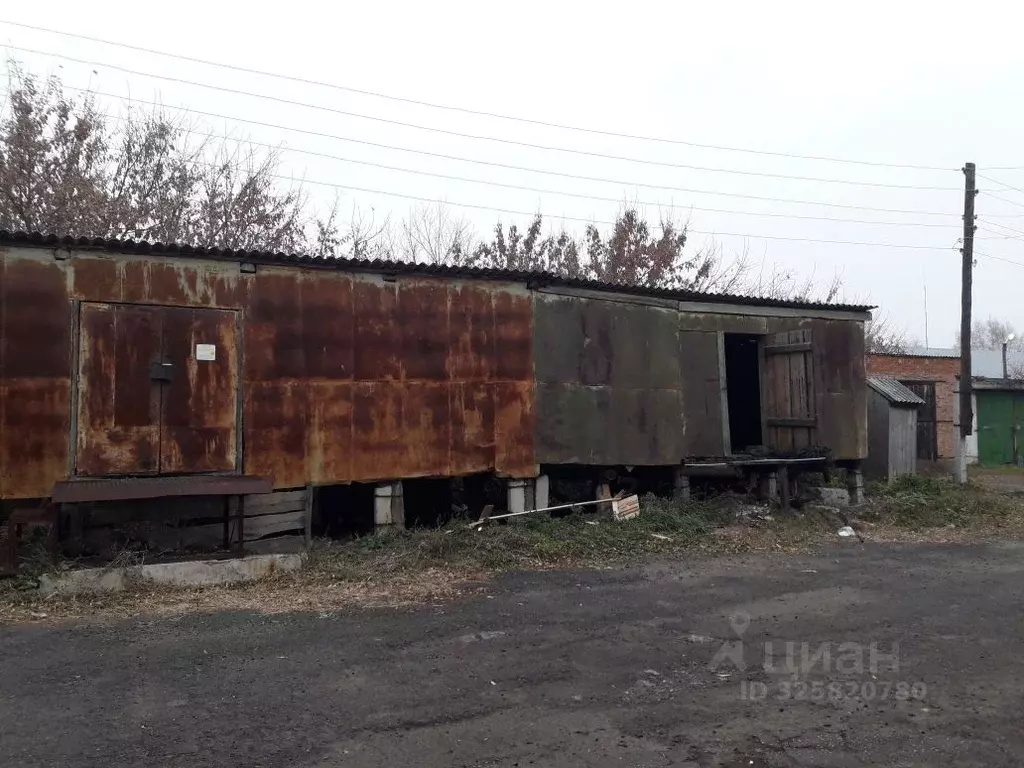 Помещение свободного назначения в Новосибирская область, с. Кочки ул. ... - Фото 1