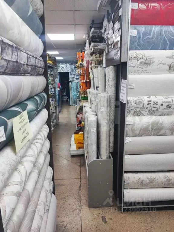 Помещение свободного назначения в Кемеровская область, Таштагол ул. ... - Фото 1