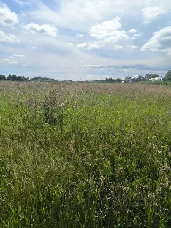 Участок в Омская область, Омск ул. Василия Маргелова (8.0 сот.) - Фото 2