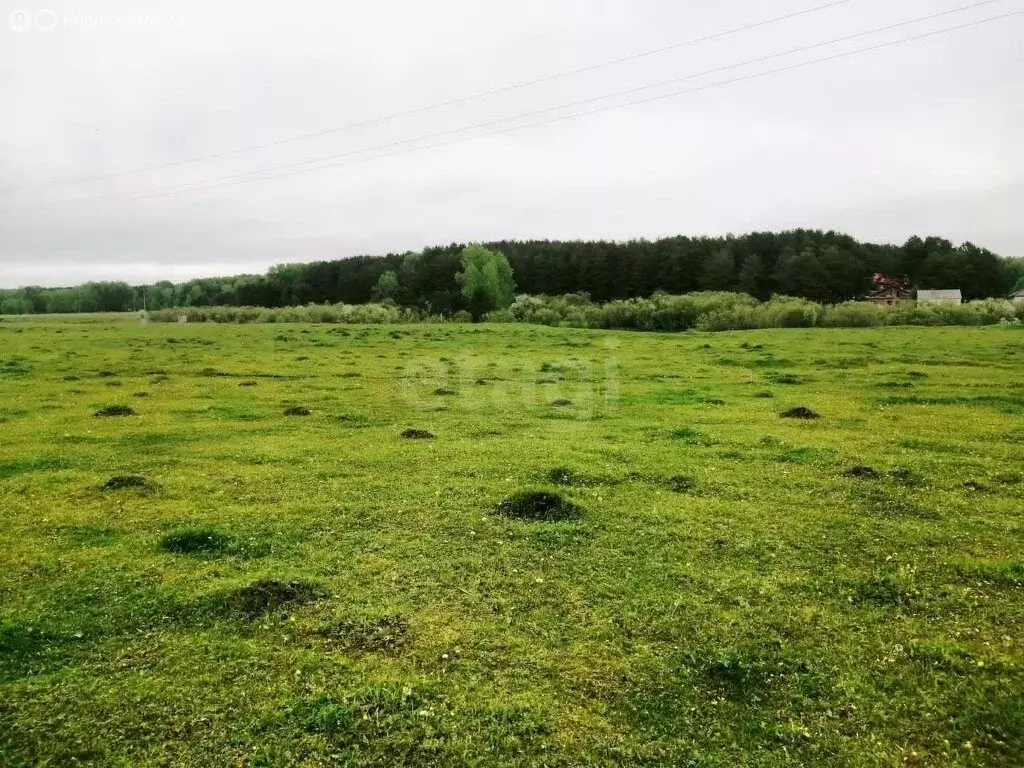 Участок в село Проскоково, Лесная улица (15 м) - Фото 1