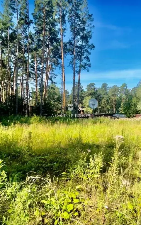 Участок в Новосибирская область, Новосибирск Красный просп. (11.5 ... - Фото 1