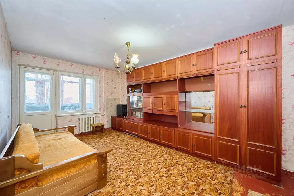 1-к кв. Краснодарский край, Краснодар ул. Димитрова (32.5 м) - Фото 1