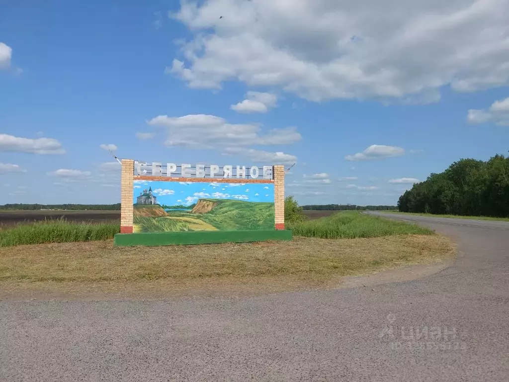 3-к кв. Омская область, Горьковский район, с. Серебряное ул. ... - Фото 1