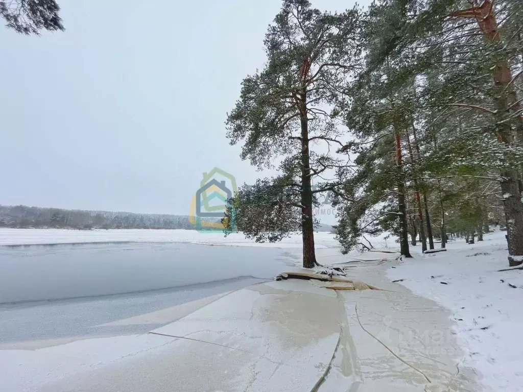 Участок в Ленинградская область, Лужский район, Толмачевское городское ... - Фото 1