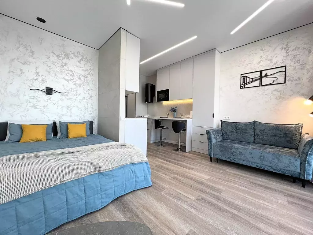 Студия Москва Волгоградский просп., 32/5к4 (27.0 м) - Фото 1