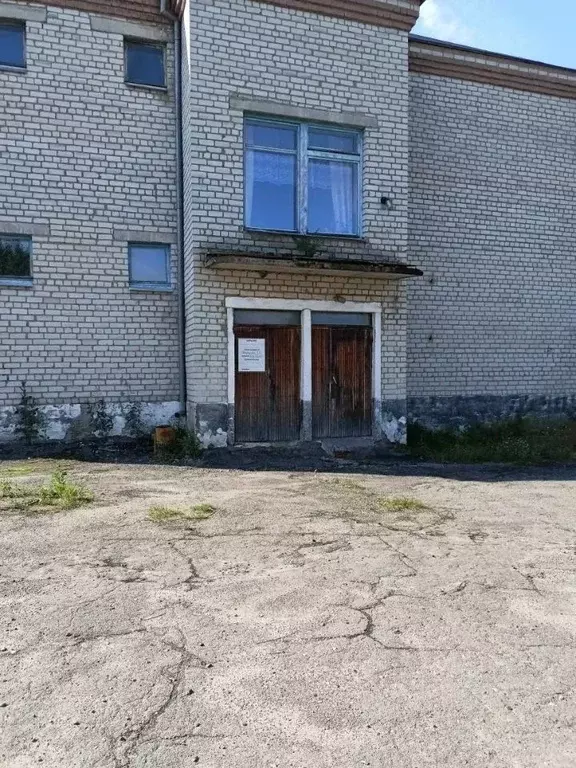 Помещение свободного назначения в Воронежская область, Эртильский ... - Фото 1