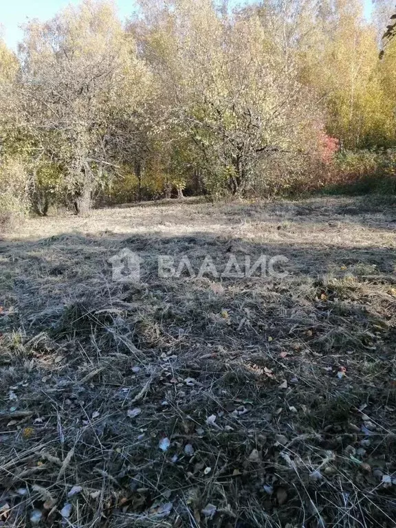 Дом в Нижегородская область, Нижний Новгород д. Чеченино, ул. Малая ... - Фото 1