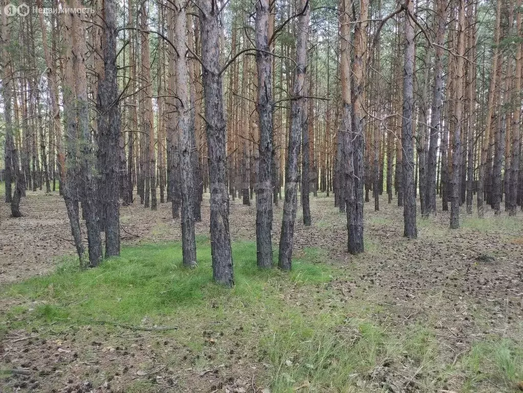 Участок в село Лесниково, дачное некоммерческое товарищество Салют ... - Фото 0