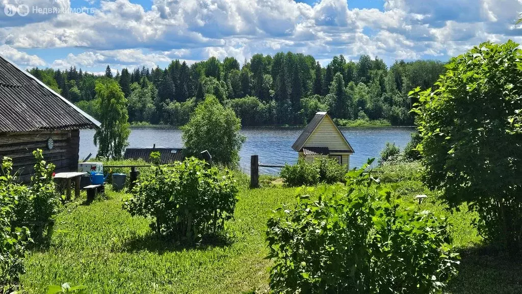 Участок в Новгородская область, Демянский муниципальный округ, деревня ... - Фото 1