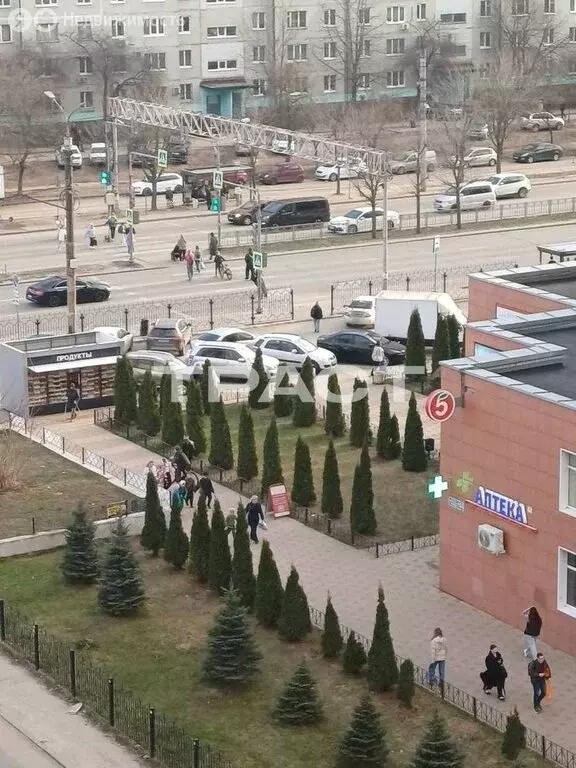 1-комнатная квартира: Воронеж, бульвар Победы, 42 (40 м) - Фото 2