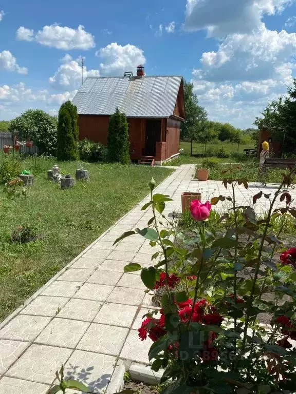 Дом в Рязанская область, Михайловский муниципальный округ, с. ... - Фото 1