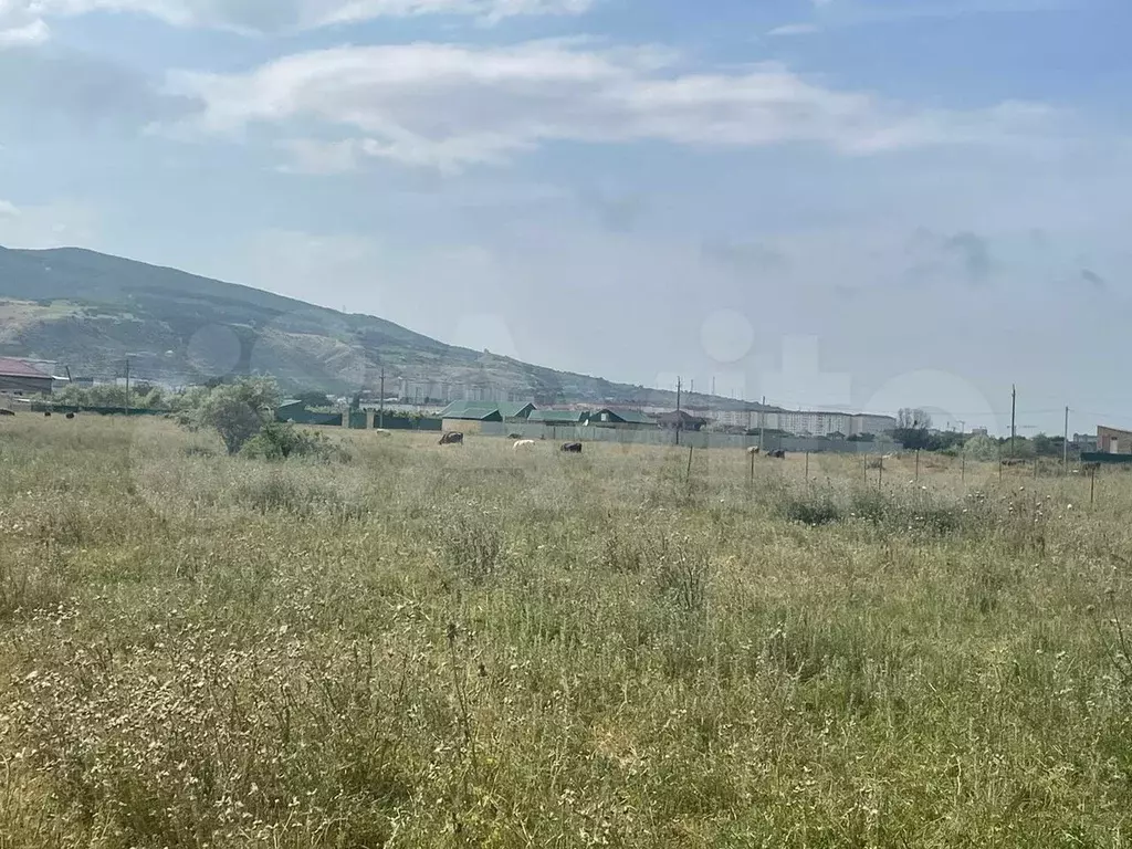 Участок 12,5 сот. (СНТ, ДНП) - Фото 1
