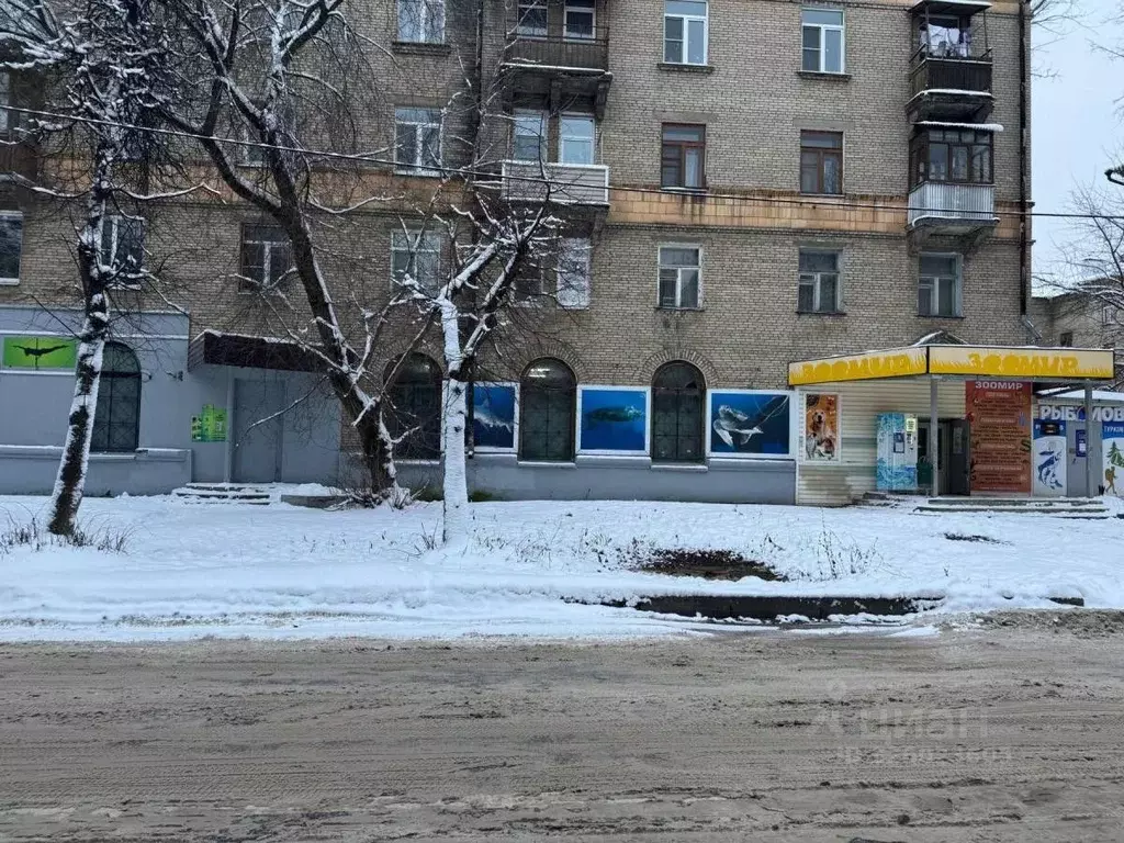 Помещение свободного назначения в Московская область, Электросталь ул. ... - Фото 1