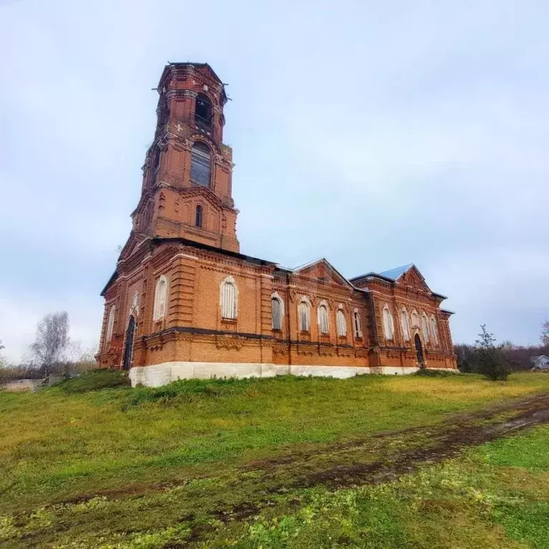 Участок в Владимирская область, Меленковский муниципальный округ, с. ... - Фото 2