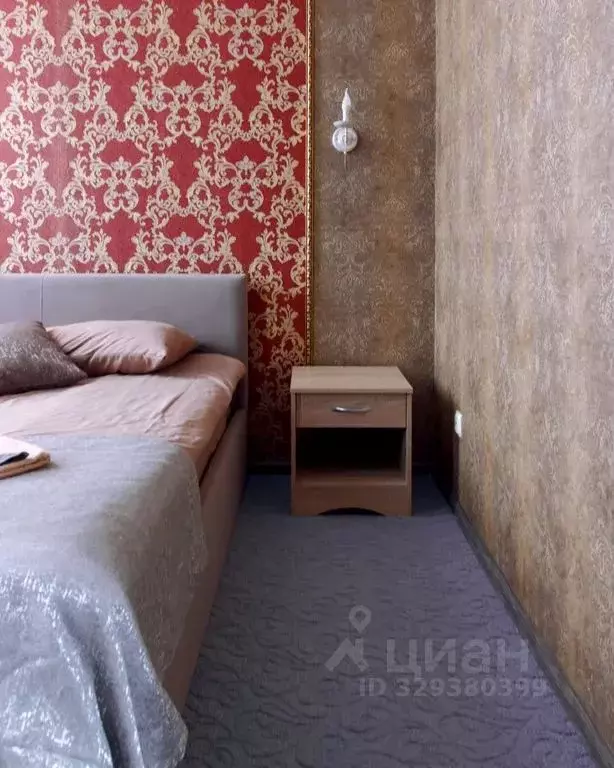 Комната Санкт-Петербург Малая Пушкарская ул., 20/4 - Фото 2