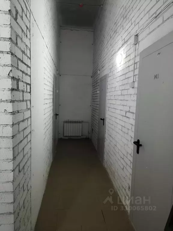 Помещение свободного назначения в Новосибирская область, Новосибирск ... - Фото 2