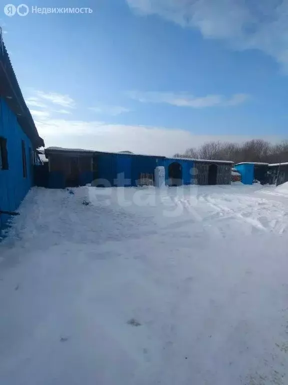 Дом в село Анучино, улица Горького (65 м) - Фото 2