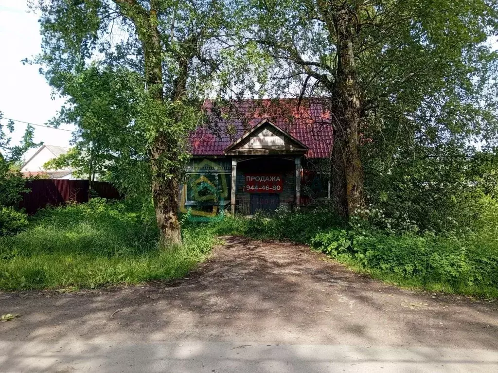 Торговая площадь в Ленинградская область, Гатчинский район, д. ... - Фото 2