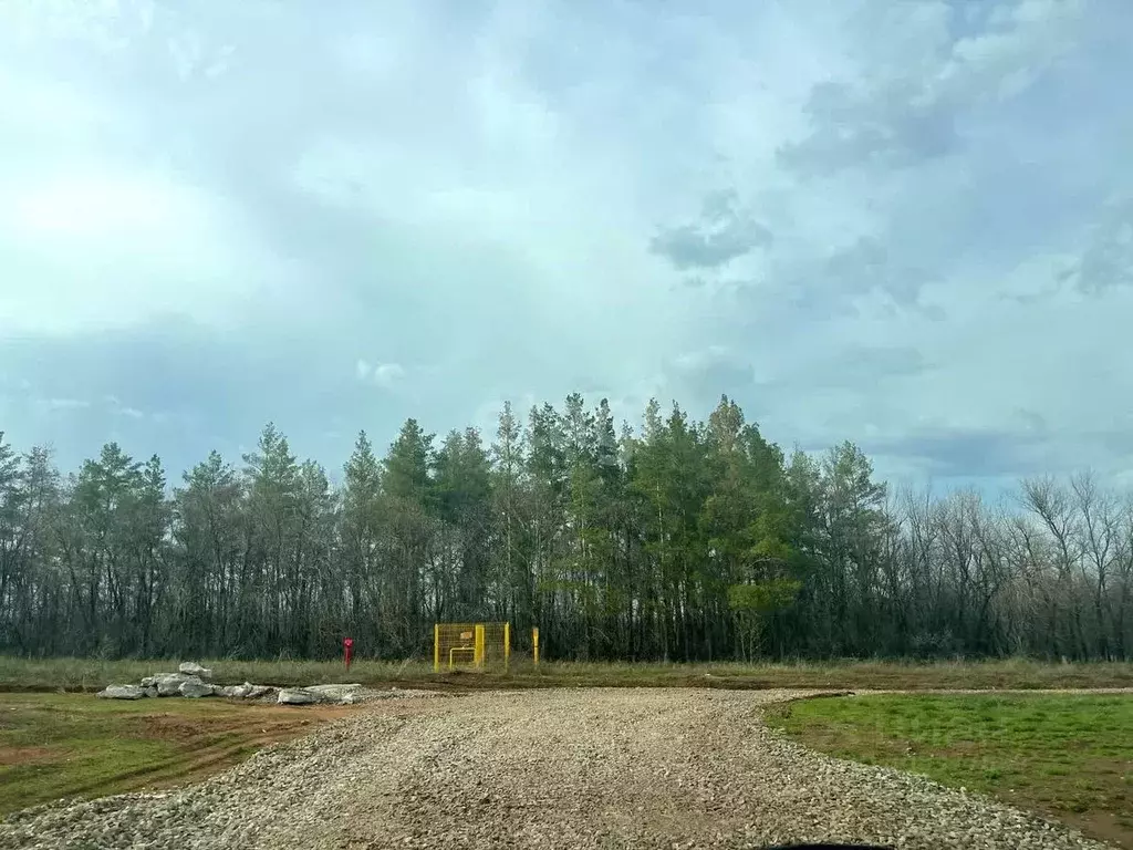 Участок в Оренбургская область, Оренбургский район, пос. Соловьевка ... - Фото 0