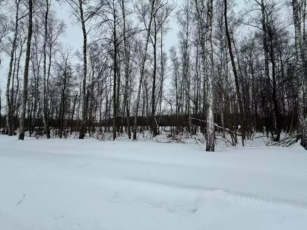 Участок в Московская область, Домодедово КП Данилово Парк тер.,  (7.43 ... - Фото 2