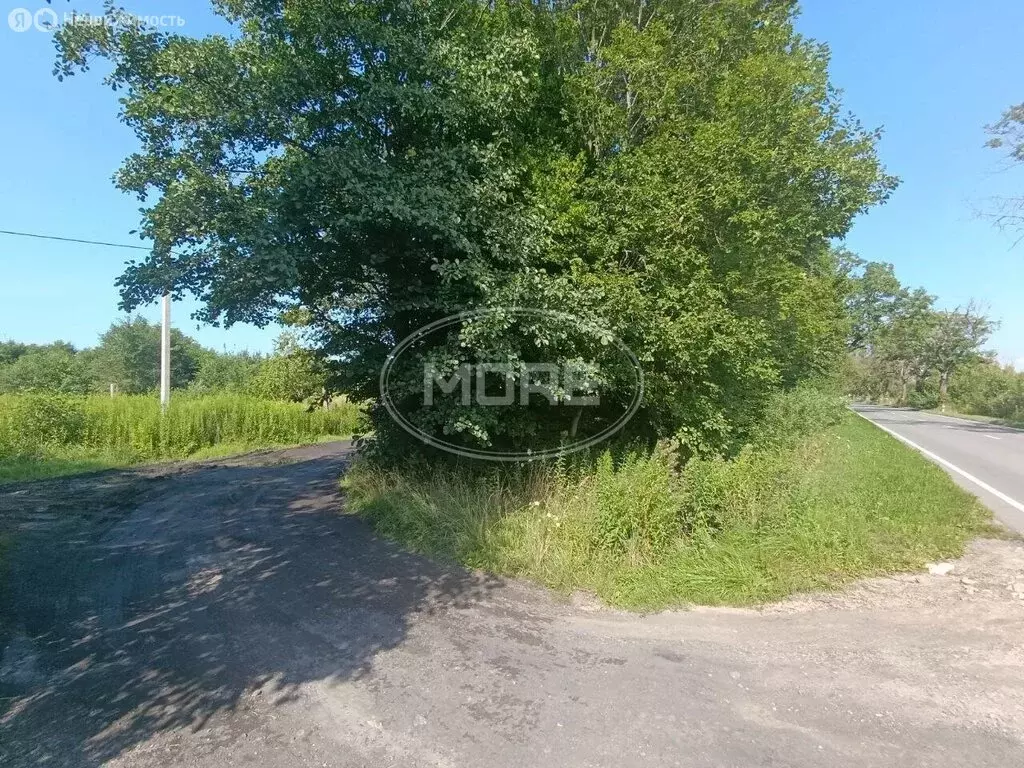Участок в Калининград, СНТ Полёт-1, Липовая улица (8 м) - Фото 0