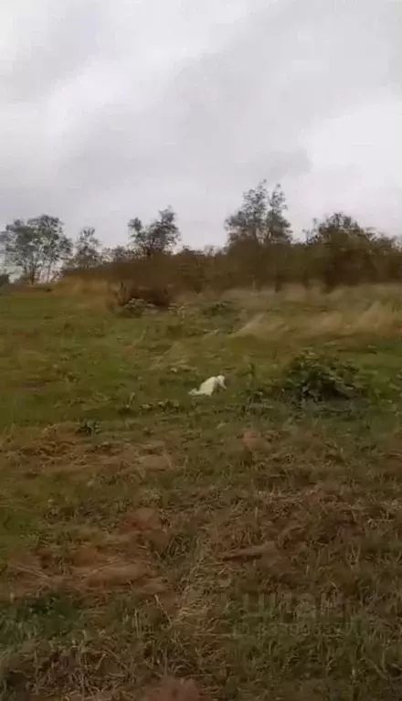 Участок в Краснодарский край, Анапа муниципальный округ, Нижняя ... - Фото 2