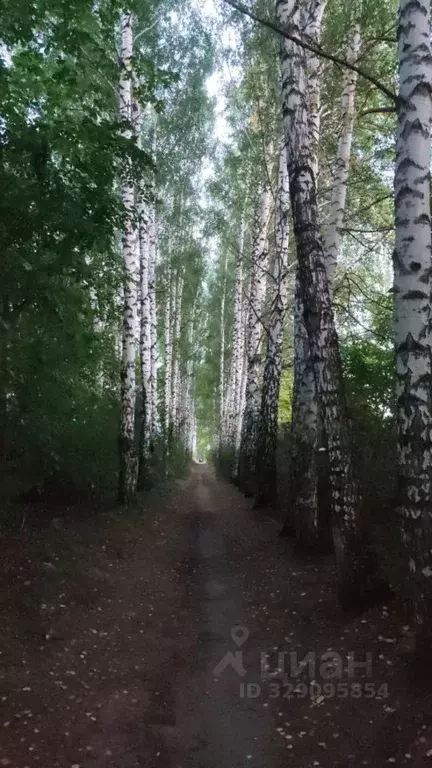 Участок в Пермский край, Нытвенский муниципальный округ, Новоильинский ... - Фото 2