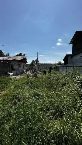 Участок 16 сот. (ИЖС) - Фото 0