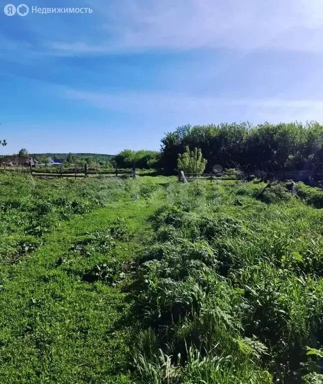 Участок в село Шульгин Лог, Школьная улица (11 м) - Фото 1