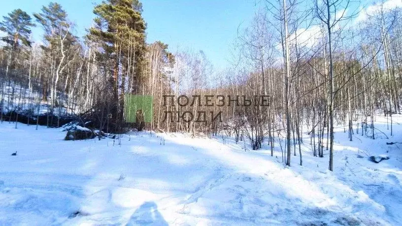 Участок в Иркутская область, Иркутский муниципальный округ, Излучина ... - Фото 1