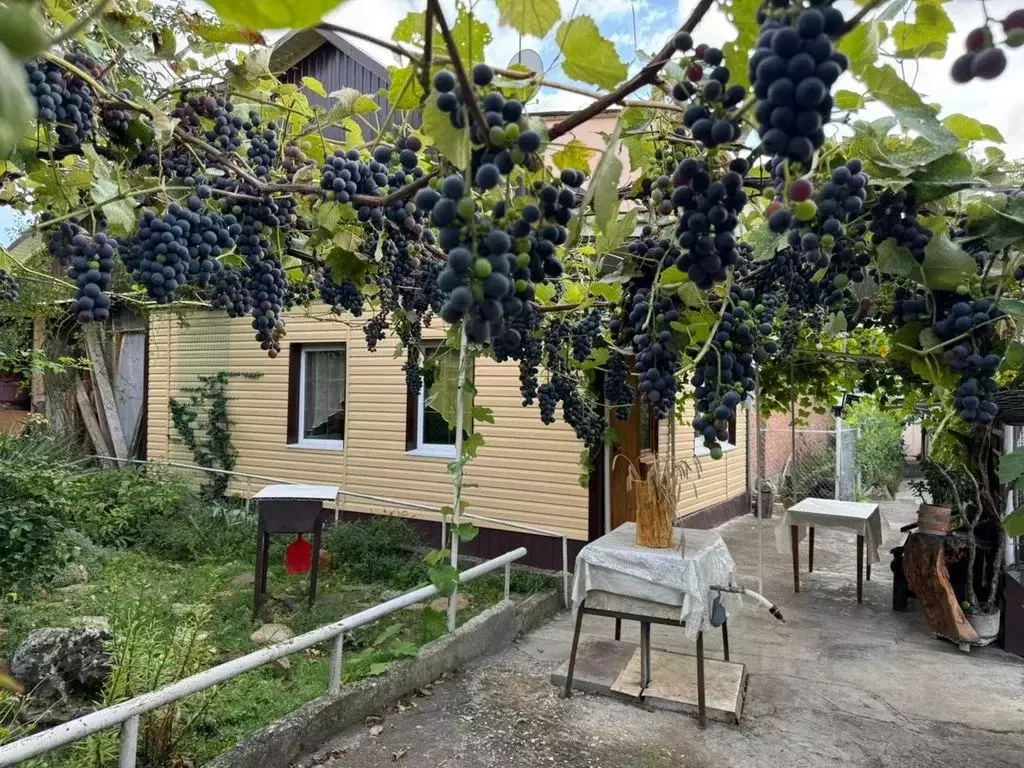Дом в Ставропольский край, Кисловодск Школьная ул., 95 (33 м) - Фото 0