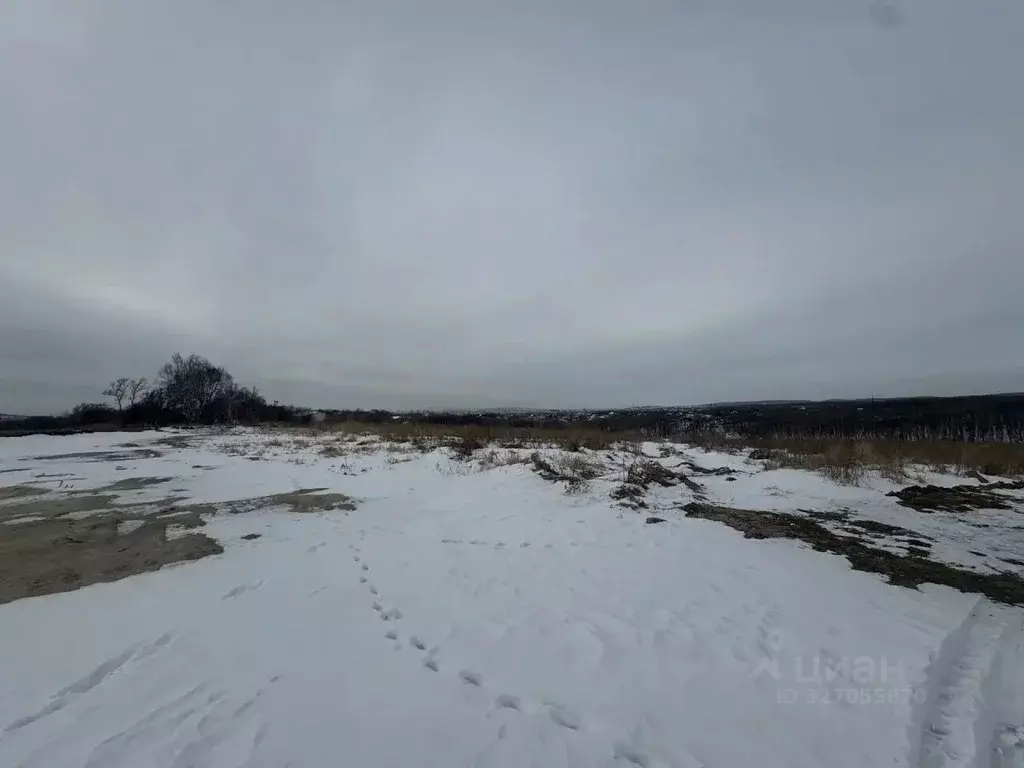 Участок в Приморский край, Уссурийский городской округ, с. Воздвиженка ... - Фото 2