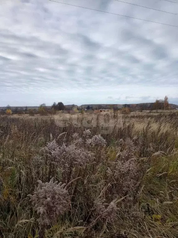 Участок в Калужская область, Бабынинский муниципальный округ, Утешево ... - Фото 2