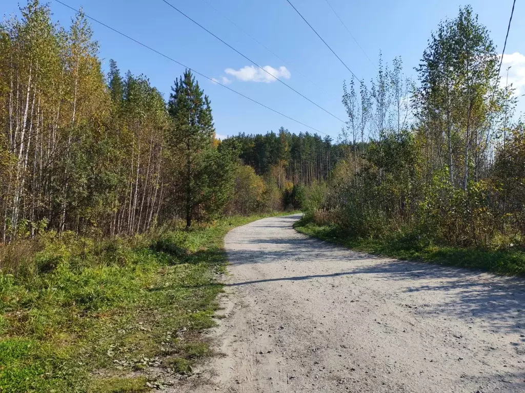 Дом в Свердловская область, Екатеринбург Светлозаречный СНТ,  (50 м) - Фото 2