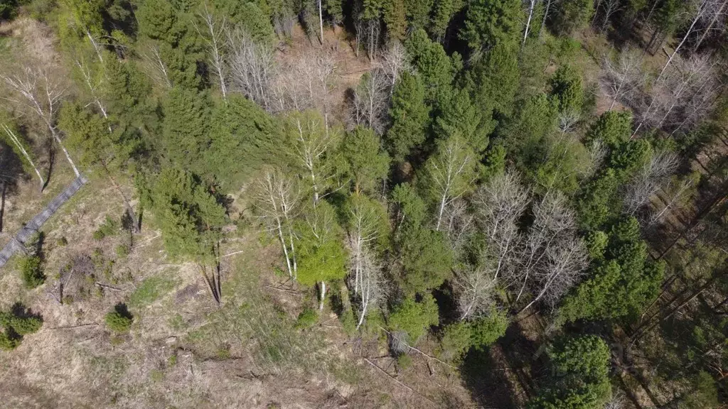 Участок в Томская область, Томский район, Богашевское с/пос, д. ... - Фото 2