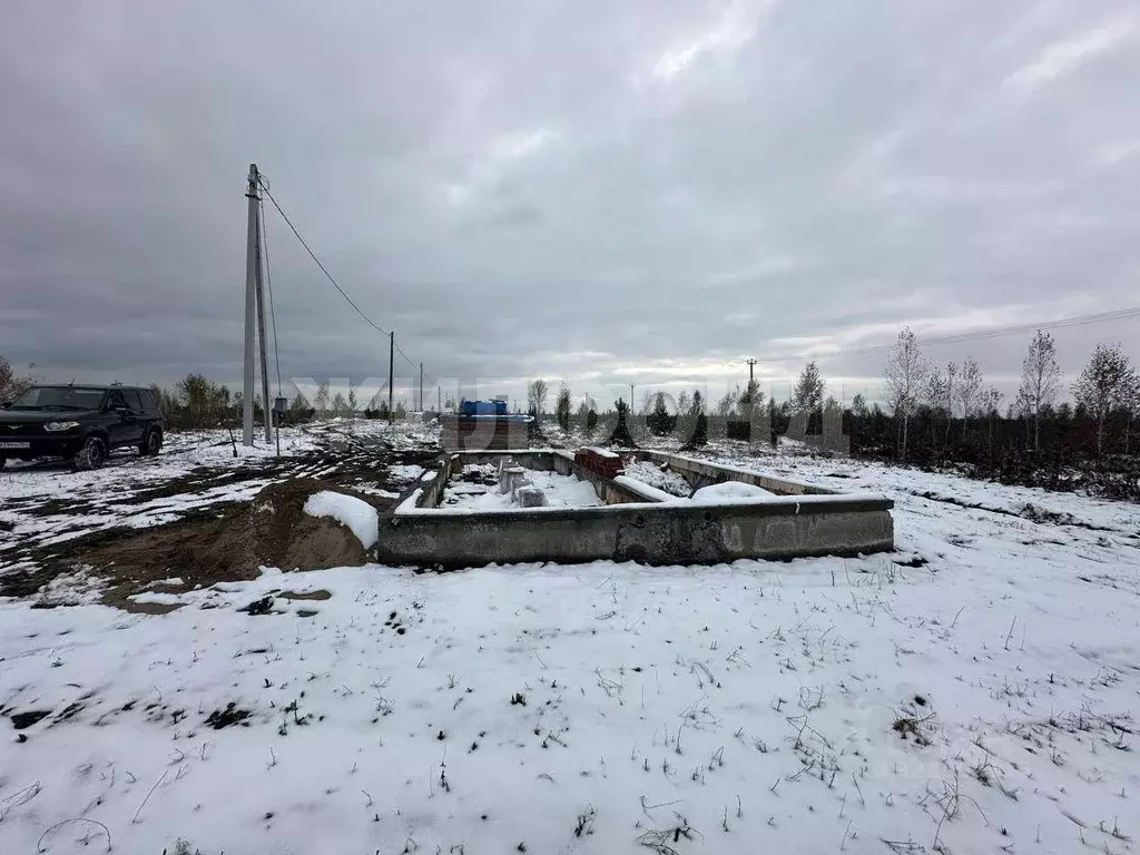 Участок в Новосибирская область, Колыванский район, Большая Семья СНТ  ... - Фото 0