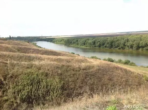 Участок в Липецкая область, Задонский район, Ксизовский сельсовет, д. ... - Фото 1