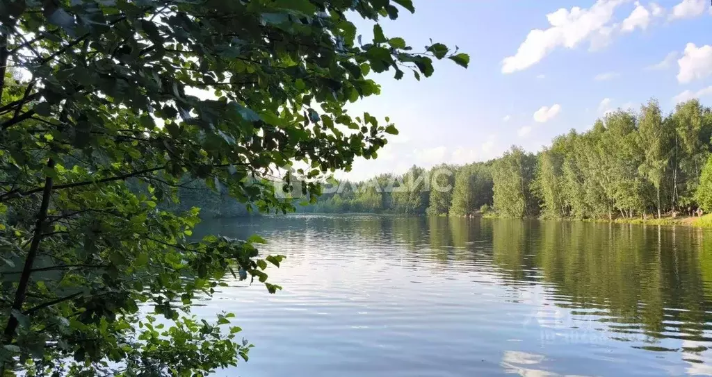 Участок в Московская область, Богородский городской округ, д. Марьино ... - Фото 0