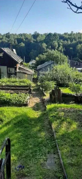 Дом в Иркутская область, Иркутск Ангара СНТ, 30/18 (30 м) - Фото 1