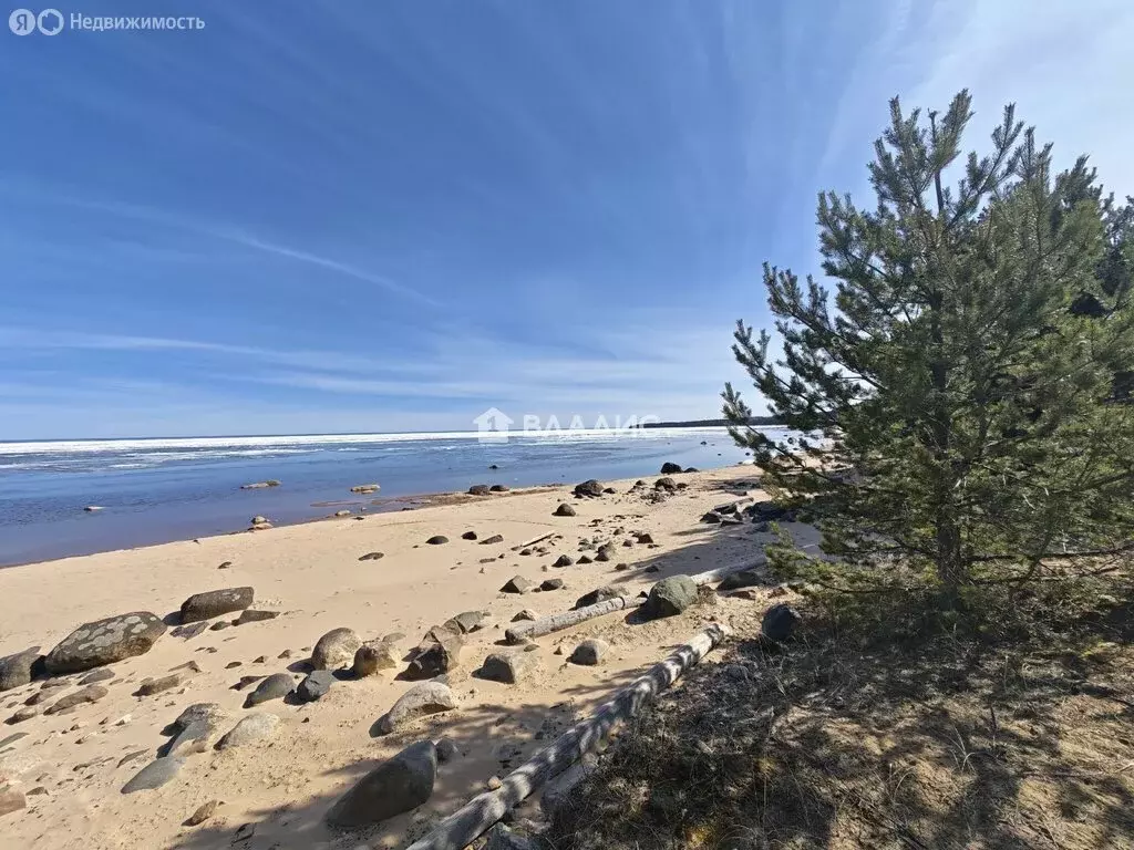 Участок в Республика Карелия, Прионежский муниципальный район, ... - Фото 1